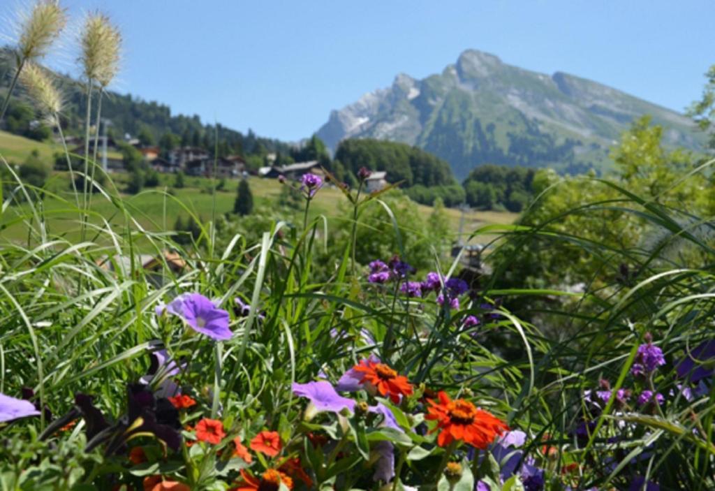 Residence - Les Grandes Alpes La Clusaz Rum bild